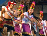 An Experience of the Festival of Tribal Dance - 2012 # 2 :: Review