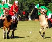 Pana Kangjei Exhibition at 7th International Polo Tournament #1 :: Gallery