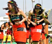 Lui-ngai-ni, Naga seed sowing festival at Senapati #2 :: Gallery