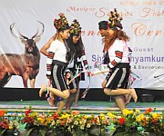 Dance from Churachandpur at Sangai Festival at Keibul Lamjao :: Gallery