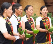 Laonii Festival, festival of Poumai tribe at Phuba Khuman, Senapati #2 :: Gallery