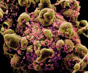 Covid-19 Virus: Manipur's Strategies to Prevent & Win the War Against It