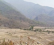 Road from Imphal to Rajaimei, Willong sub-division, Senapati District #1 :: Gallery