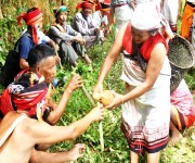  37th Harvesting Festival of Tarao at Khuringmul Village, Chandel #2 :: Gallery 