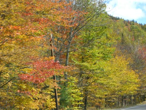 Fall in New England - 2006