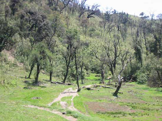 Ibudhou Koubru Kaba - Hiking & camping at Mount Koubru ~ Pictures from ...