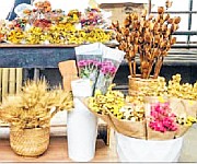  Women drive the dry flower business in Nagaland 