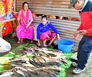  Ningol Chakkouba : Annual Fish Fair at Hapta Kangjeibung on 02nd November 2024 #1 :: Gallery 