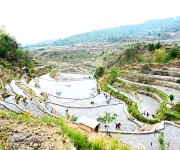  Purul (Hiimai) Paoki (Paddy Transplantation) Festival at Purul on 3rd May 2023 #3 :: Gallery 