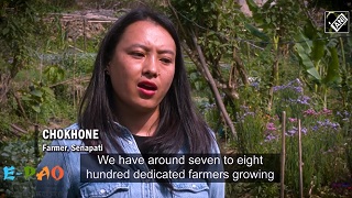 Manipur youth lead the way in organic farming