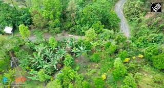 Manipur's orange bowl blends tradition with ecological wisdom