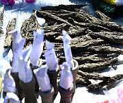  Shopping List for Shivaratri  at Singjamei Thong on 16 February 2026 :: Gallery 