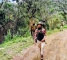 Questions raised over fate of six Naga men